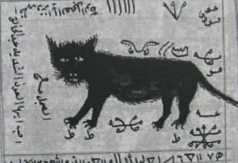 Kara Kedi Büyüsü Nedir?